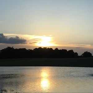 Meet your Posher, Janie